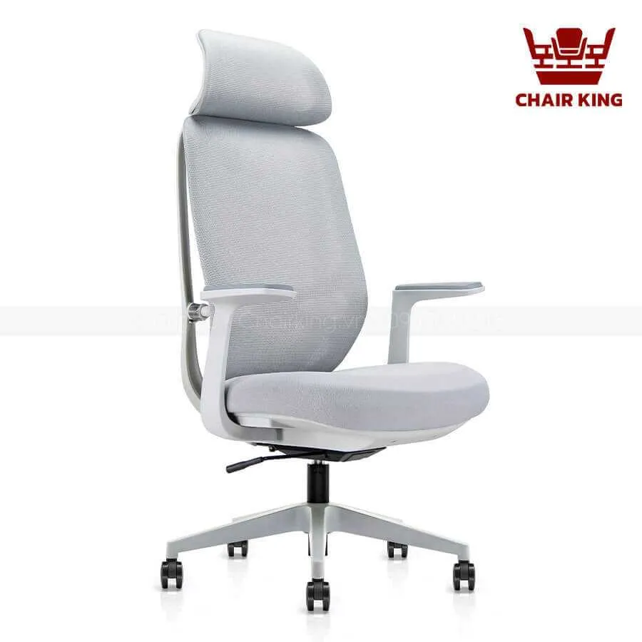 Ghế công thái học 6231A-HS