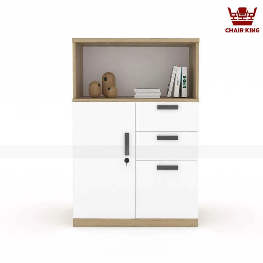 Tủ tài liệu lửng TLL02
