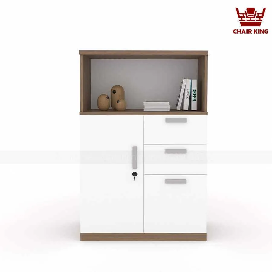 Tủ tài liệu lửng TLL04