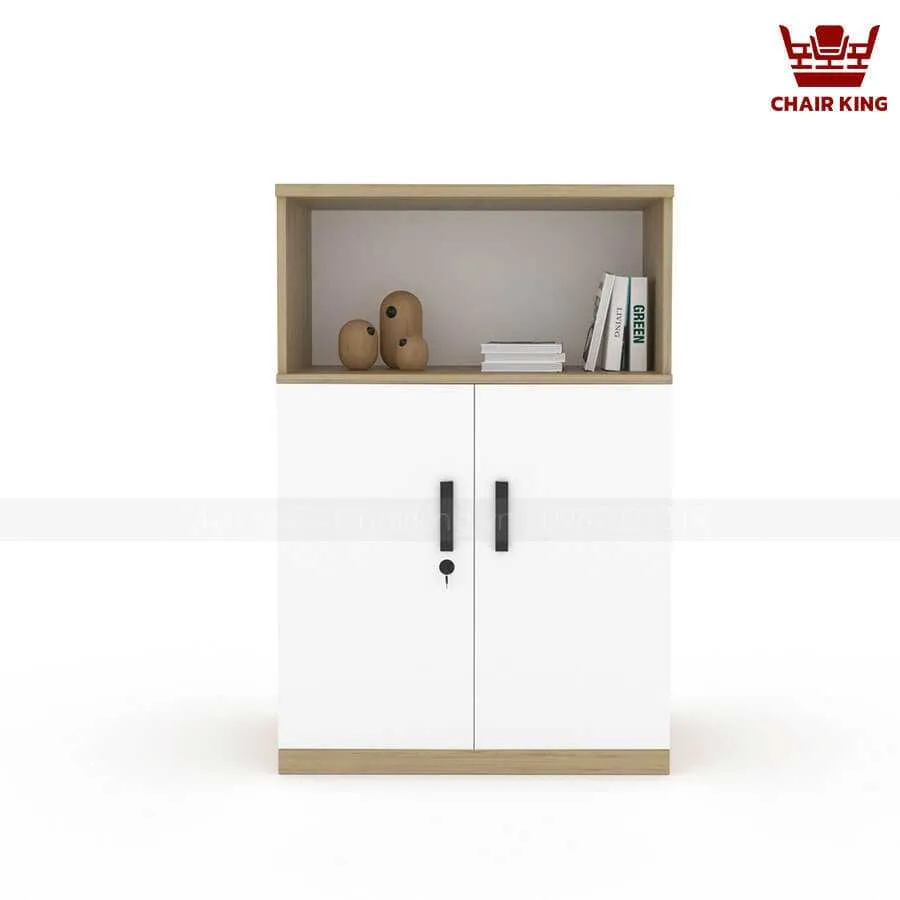 Tủ tài liệu lửng TLL06