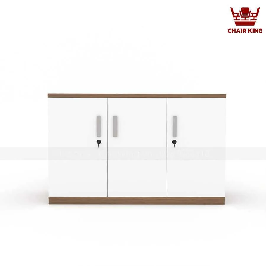Tủ tài liệu thấp TT08