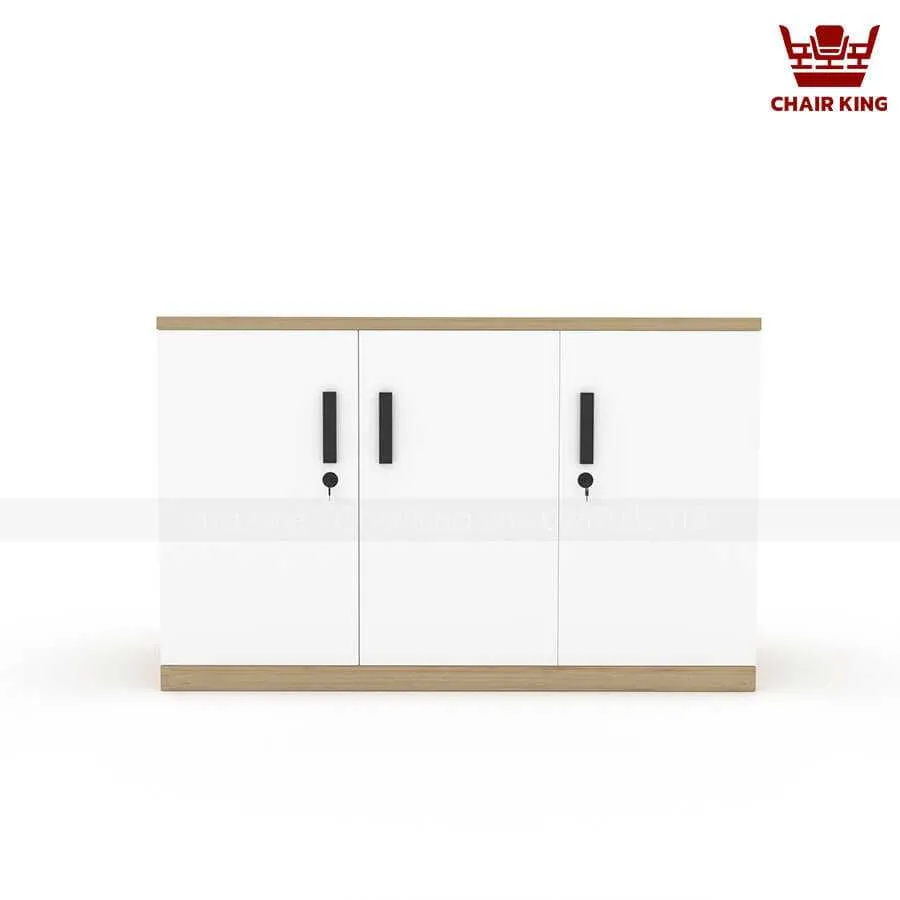 Tủ tài liệu thấp TT06
