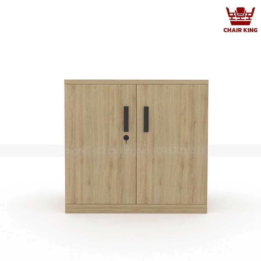 Tủ tài liệu thấp TT01