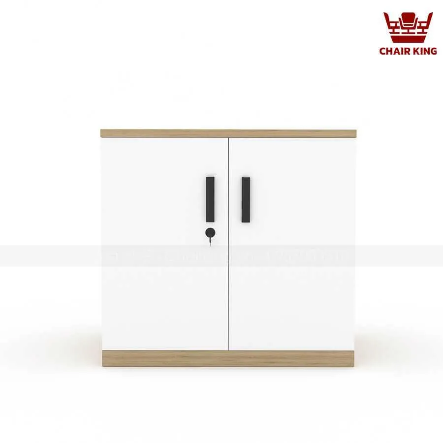 Tủ tài liệu thấp TT02