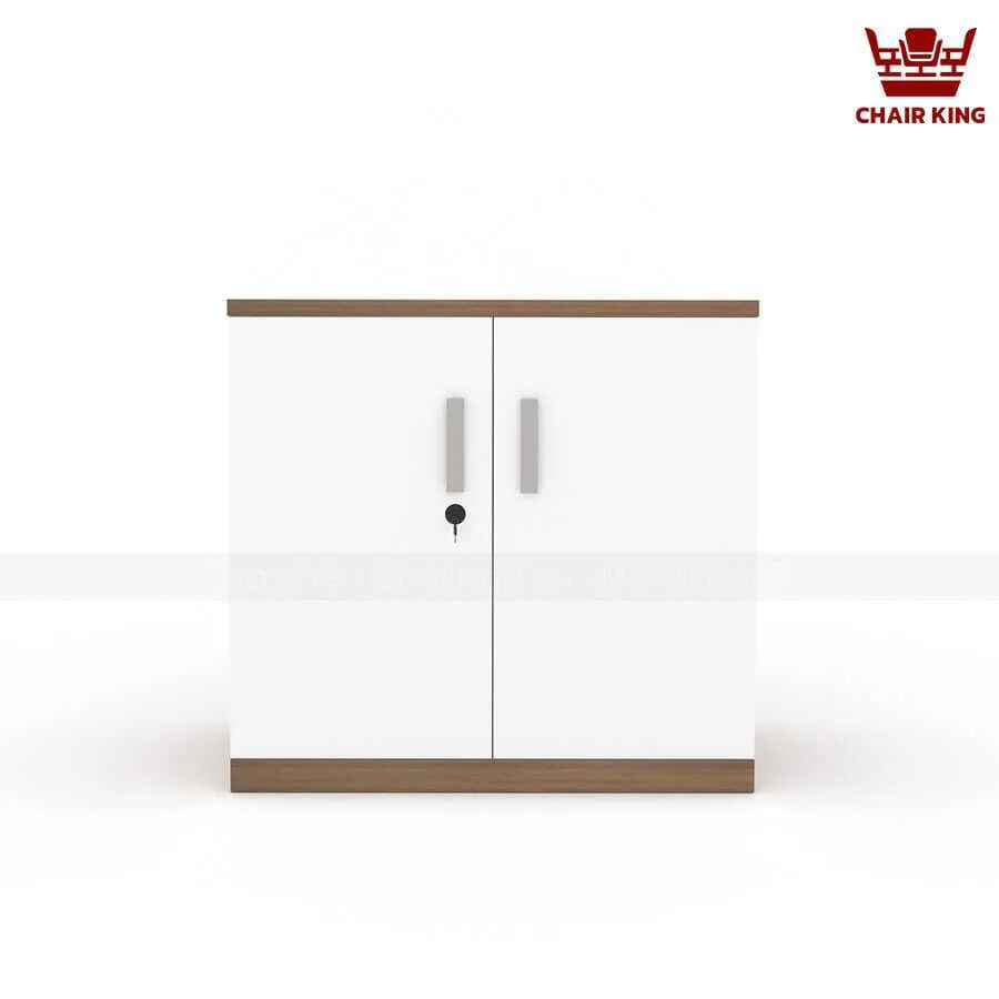 Tủ tài liệu thấp TT04