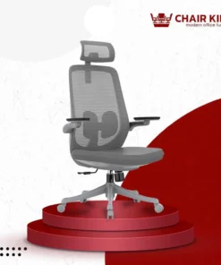 Ghế công thái học