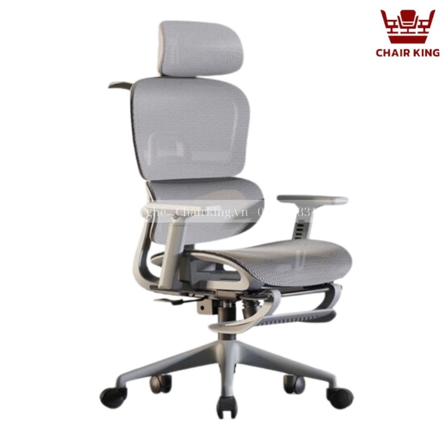 Ghế công thái học Chairking GCTHC-LS900