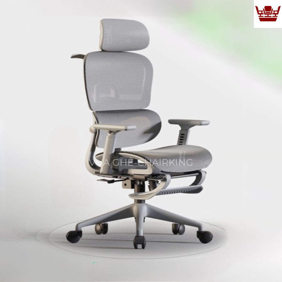 Ghế công thái học Chairking GCTHC LS-900