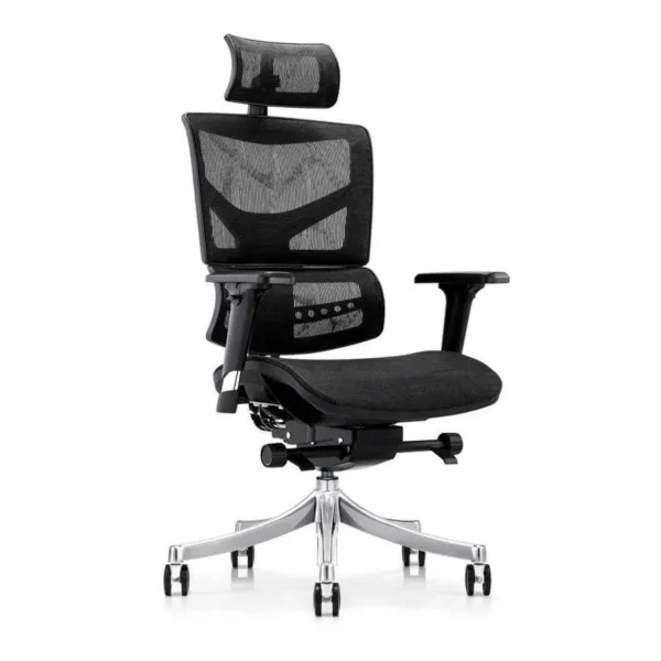 Mua ghế công thái học tại Bà Rịa - Vũng Tàu